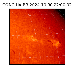 gong - 2024-10-30T22:00:02