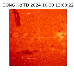 gong - 2024-10-30T13:00:22