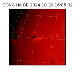 gong - 2024-10-30T16:05:02