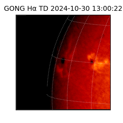 gong - 2024-10-30T13:00:22