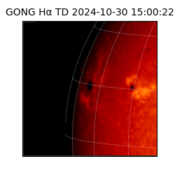 gong - 2024-10-30T15:00:22
