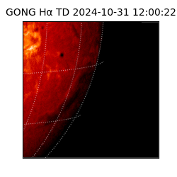 gong - 2024-10-31T12:00:22