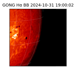 gong - 2024-10-31T19:00:02