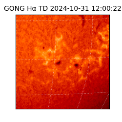 gong - 2024-10-31T12:00:22