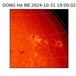 gong - 2024-10-31T19:00:02