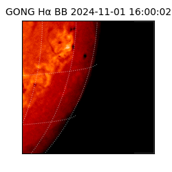 gong - 2024-11-01T16:00:02