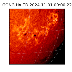 gong - 2024-11-01T09:00:22