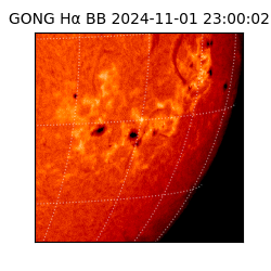gong - 2024-11-01T23:00:02