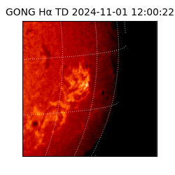 gong - 2024-11-01T12:00:22