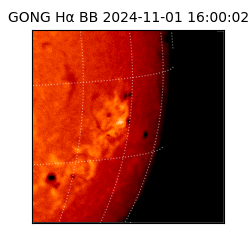gong - 2024-11-01T16:00:02
