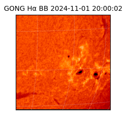 gong - 2024-11-01T20:00:02