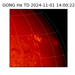 gong - 2024-11-01T14:00:22