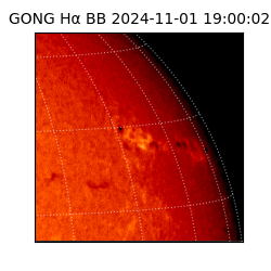 gong - 2024-11-01T19:00:02