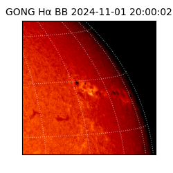 gong - 2024-11-01T20:00:02