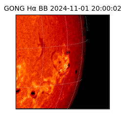 gong - 2024-11-01T20:00:02