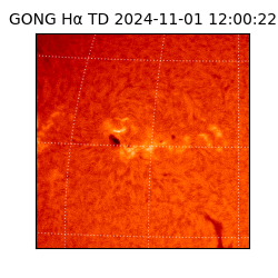 gong - 2024-11-01T12:00:22