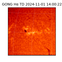 gong - 2024-11-01T14:00:22