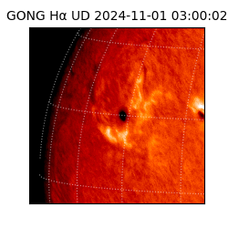 gong - 2024-11-01T03:00:02