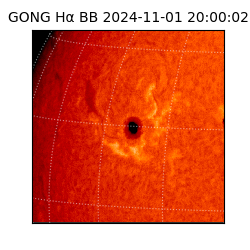 gong - 2024-11-01T20:00:02