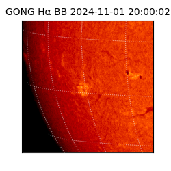 gong - 2024-11-01T20:00:02