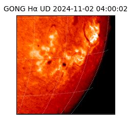 gong - 2024-11-02T04:00:02