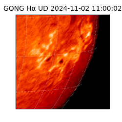 gong - 2024-11-02T11:00:02