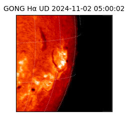 gong - 2024-11-02T05:00:02