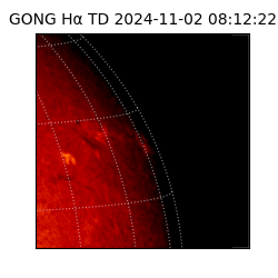 gong - 2024-11-02T08:12:22