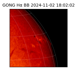 gong - 2024-11-02T18:02:02
