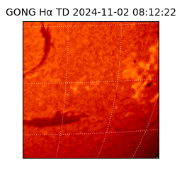 gong - 2024-11-02T08:12:22