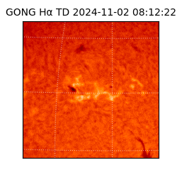 gong - 2024-11-02T08:12:22