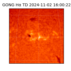gong - 2024-11-02T16:00:22