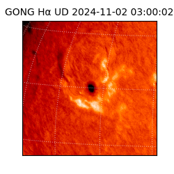 gong - 2024-11-02T03:00:02