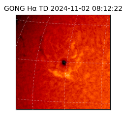 gong - 2024-11-02T08:12:22