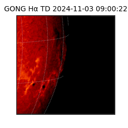 gong - 2024-11-03T09:00:22