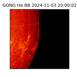 gong - 2024-11-03T20:00:02