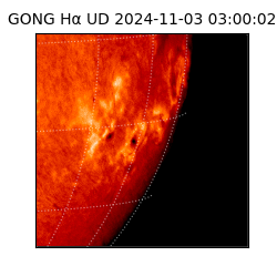 gong - 2024-11-03T03:00:02