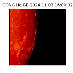 gong - 2024-11-03T16:00:02