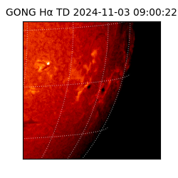 gong - 2024-11-03T09:00:22