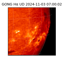 gong - 2024-11-03T07:00:02