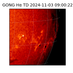 gong - 2024-11-03T09:00:22