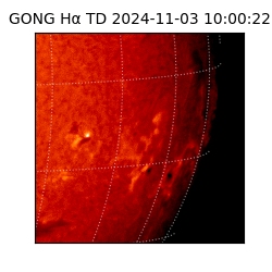 gong - 2024-11-03T10:00:22