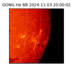 gong - 2024-11-03T20:00:02