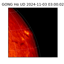 gong - 2024-11-03T03:00:02