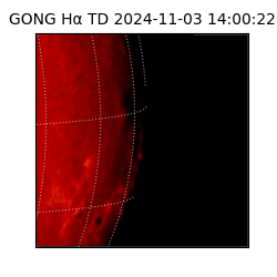 gong - 2024-11-03T14:00:22