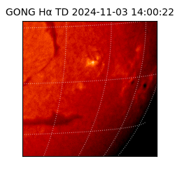 gong - 2024-11-03T14:00:22