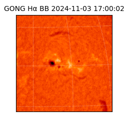 gong - 2024-11-03T17:00:02