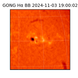 gong - 2024-11-03T19:00:02