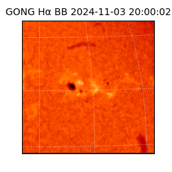 gong - 2024-11-03T20:00:02