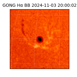 gong - 2024-11-03T20:00:02